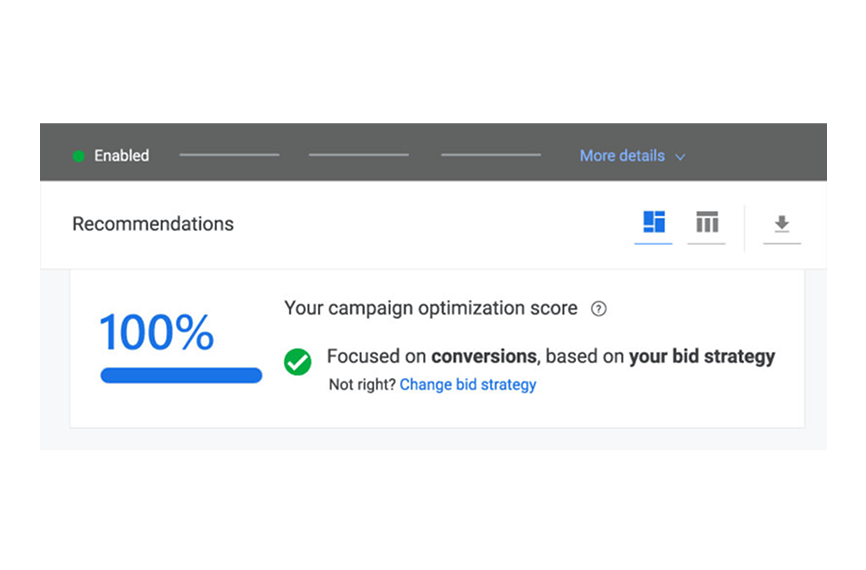 Google Ads recommendations dashboard showing 100% campaign optimization score